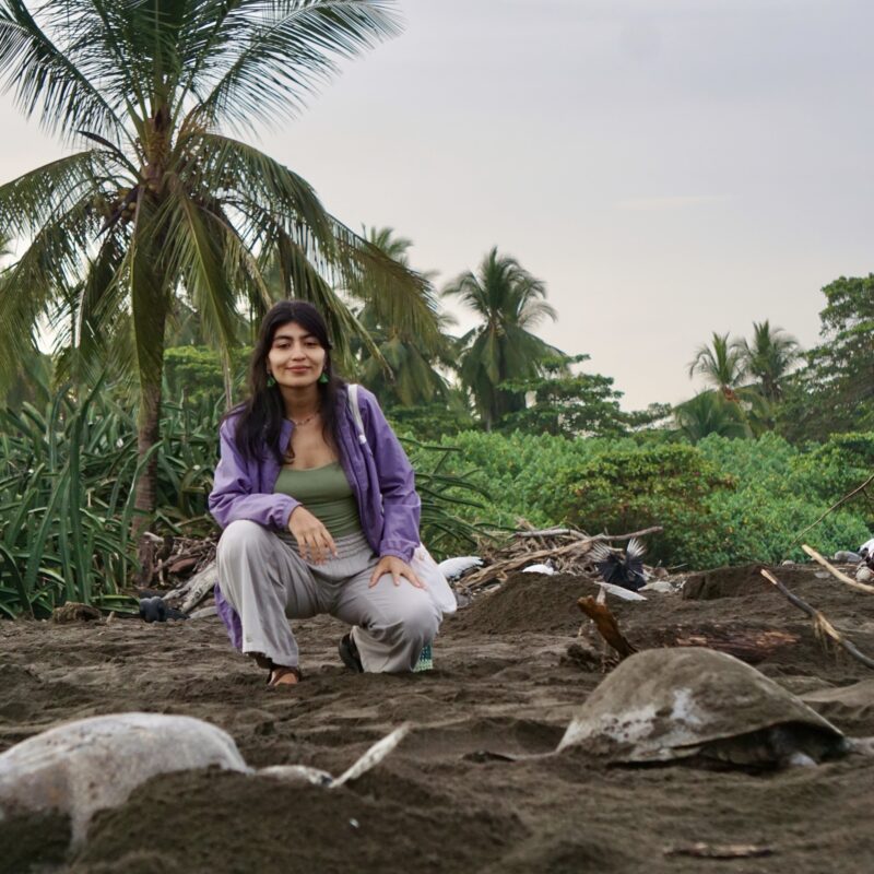 Traditional Wine Workshop & Turtle Nesting