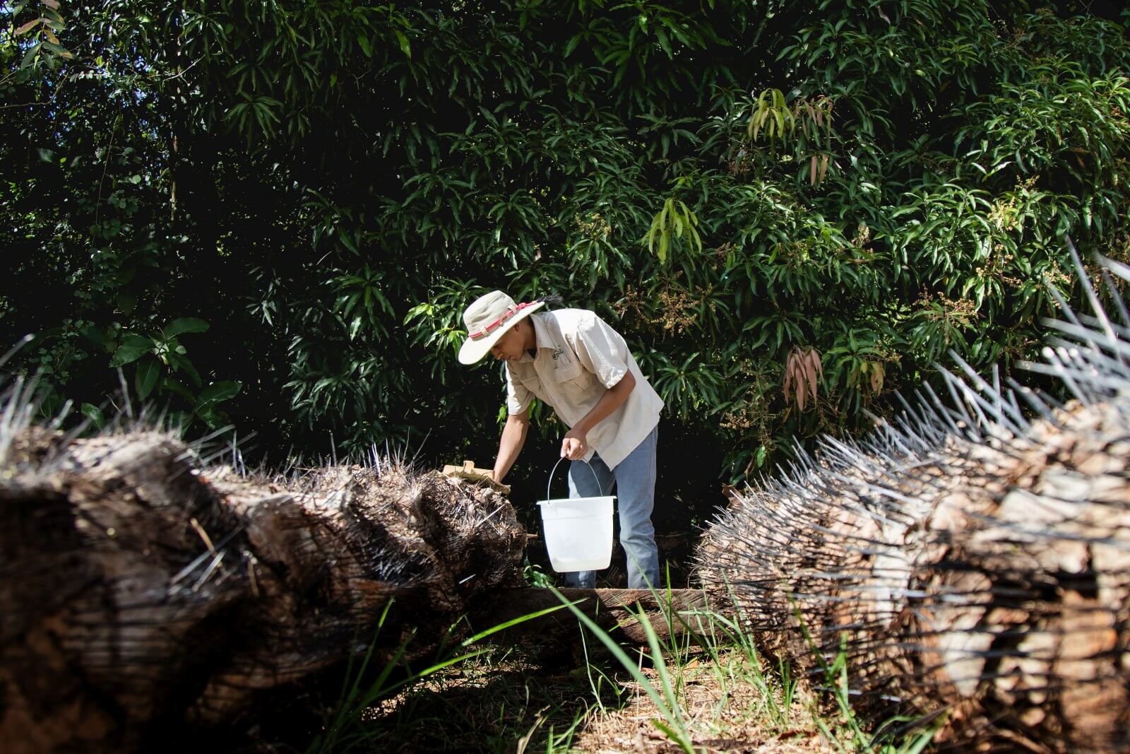 Traditional Wine Workshop & Turtle Nesting - Image 3
