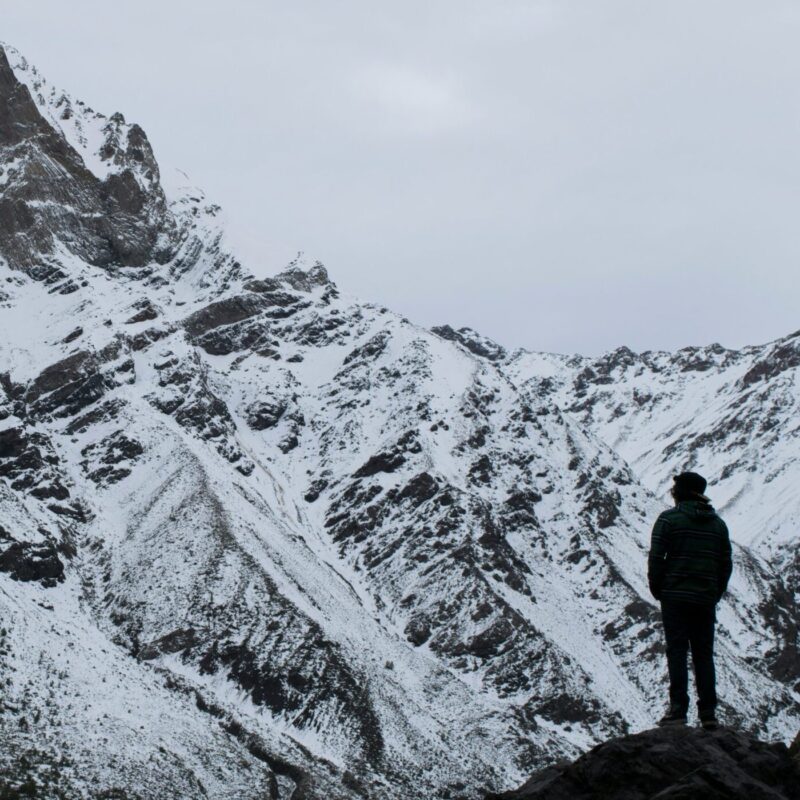 Cajón del Maipo Trekking, Wine Tasting & Penguin Watching Experience